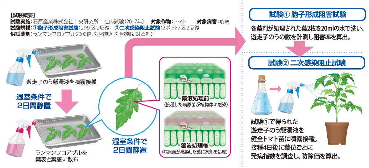 試験方法と調査方法