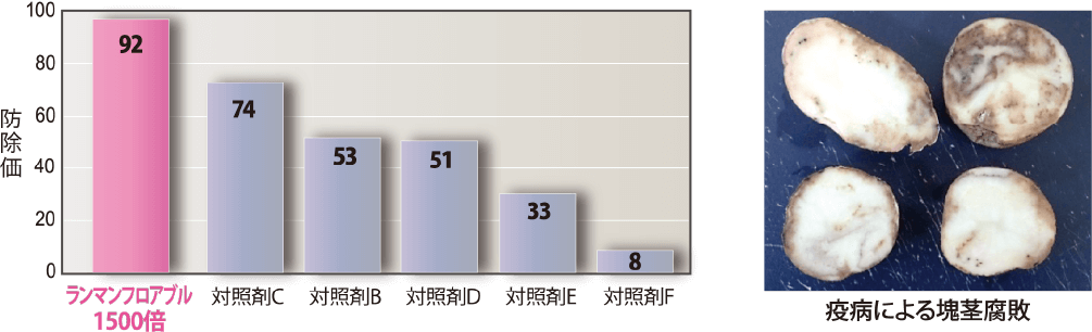 塊茎腐敗に対するランマンフロアブルの効果