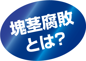 塊茎腐敗とは？