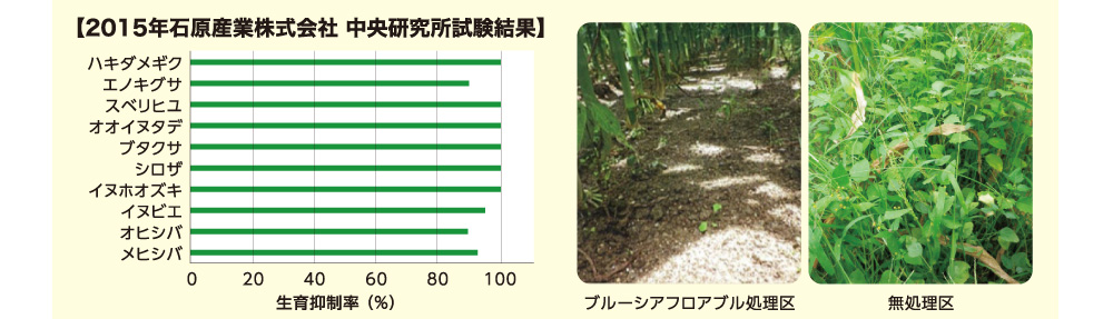 2015年石原産業株式会社中央研究所試験結果