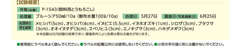 飼料用とうもろこし試験概要