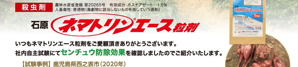 いつもネマトリンエース粒剤をご愛顧頂きありがとうございます。社内自主試験にてセンチュウ防除効果を確認しましたのでご紹介いたします。