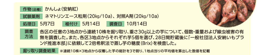 各区の任意の3地点から連続10株を掘り取り、重さ30kg以上の芋について、個数・重量および線虫被害の有無を調査した。また各区3地点からそれぞれ芋5個を選び、28日間貯蔵後に「一般社団法人安納芋ブランド推進本部」に依頼して2倍希釈法で蒸し芋の糖度(Brix)を検査した。