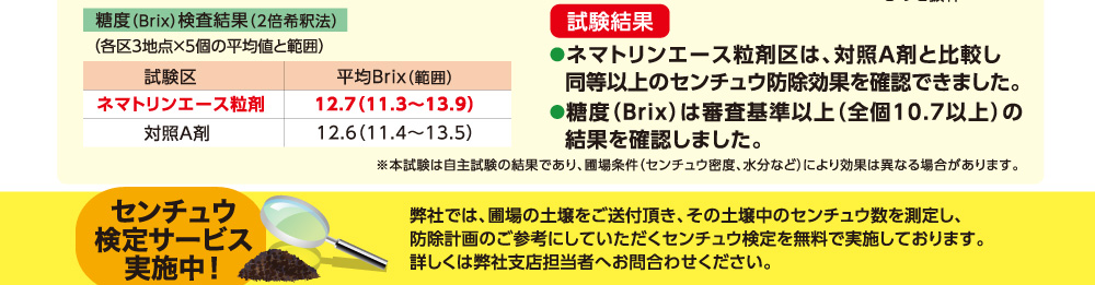 ネマトリンエース粒剤区は、対照A剤と比較し同等以上のセンチュウ防除効果を確認できました。糖度(Brix)は審査基準以上(全個10.7以上)の結果を確認しました。