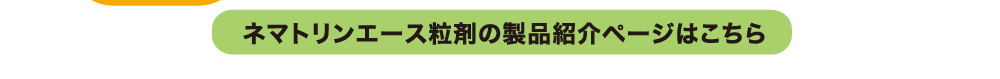 ネマトリンエース粒剤の製品紹介ページはこちら