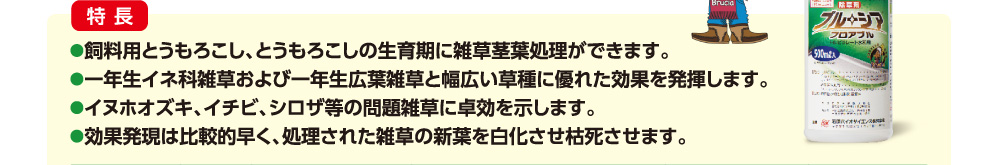 飼料用とうもろこし、とうもろこしの生育期に雑草茎葉処理ができます。一年生イネ科雑草および一年生広葉雑草と幅広い草種に優れた効果を発揮します。イヌホオズキ、イチビ、シロザ等の問題雑草に卓効を示します。効果発現は比較的早く、処理された雑草の新葉を白化させ枯死させます。