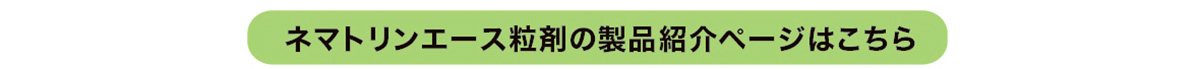 ネマトリンエース粒剤の製品情報