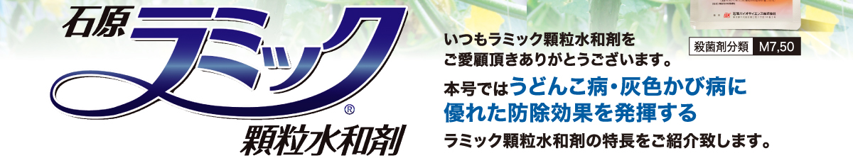 うどんこ病・灰色かび病に優れた防除効果を発揮する石原ラミック顆粒水和剤