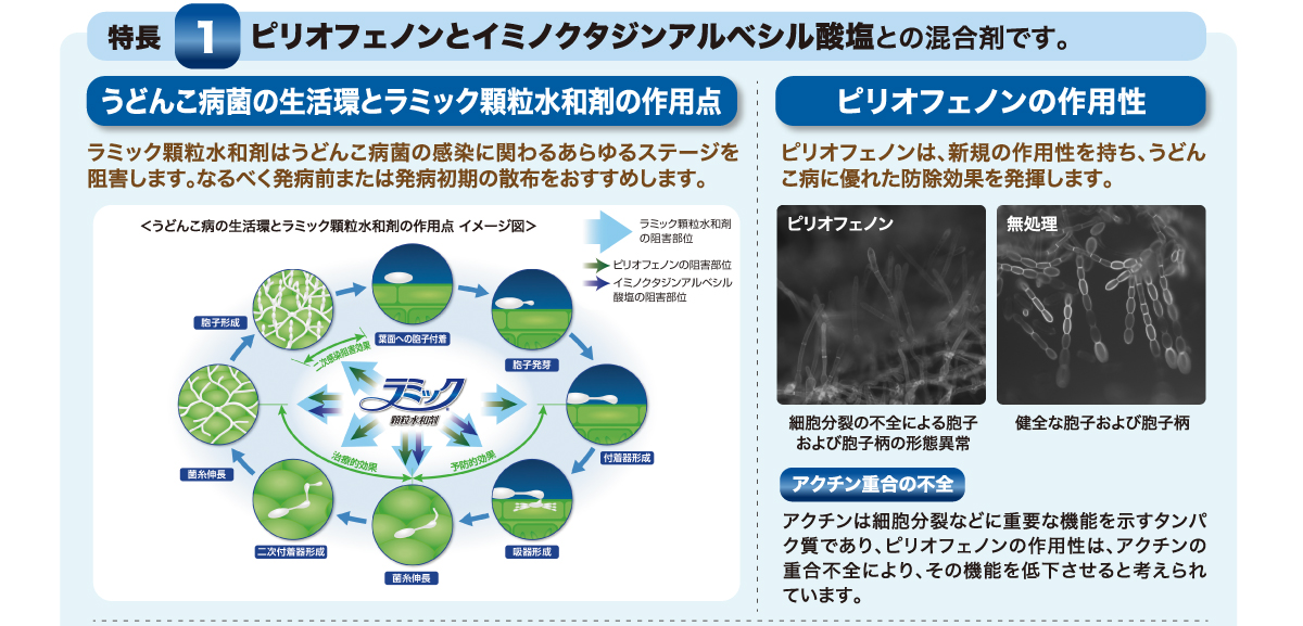 ピリオフェノンとイミノクタジンアルベシル酸塩の混合剤です