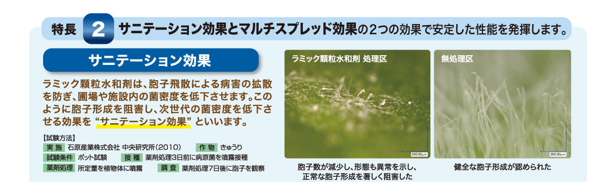 サニテーション効果とマルチスプレッド効果の2つの効果で安定した性能を発揮します。