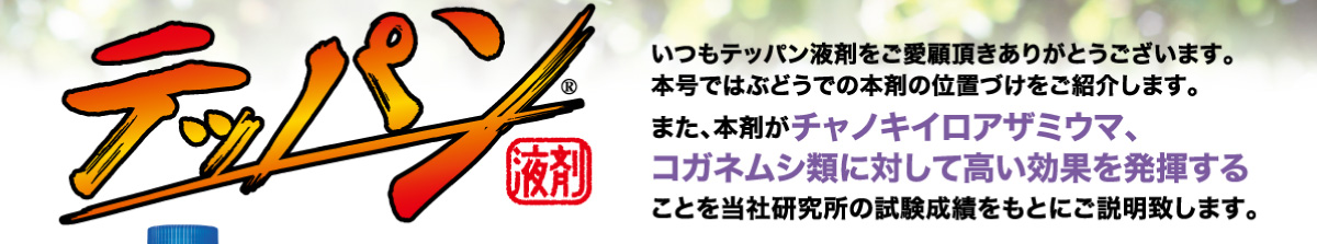 いつもテッパン液剤をご愛顧頂きありがとうございます。本号ではぶどうでの本剤の位置づけをご紹介します。また、本剤がチャノキイロアザミウマ、コガネムシ類に対して高い効果を発揮することを当社研究所の試験成績をもとにご説明致します。