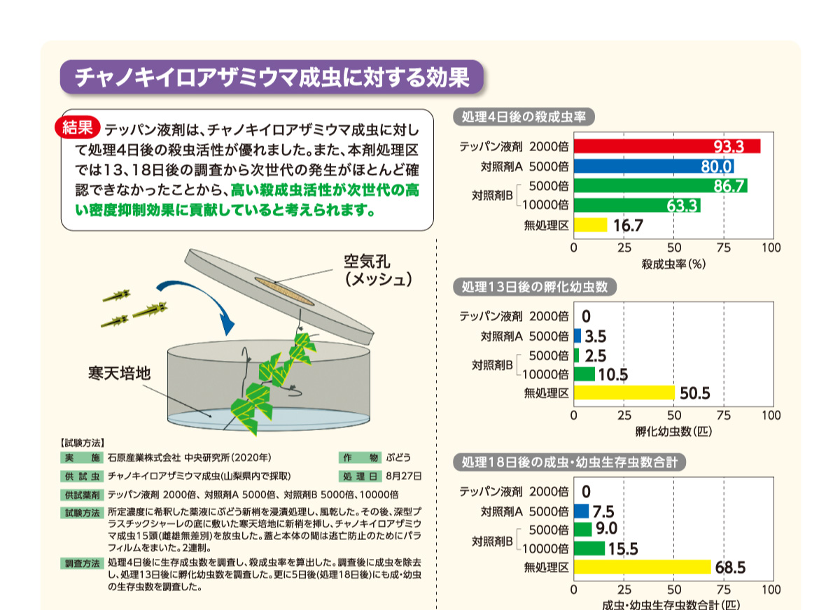 テッパン液剤は、チャノキイロアザミウマ成虫に対して処理4日後の殺虫活性が優れました。また、本剤処理区では13、18日後の調査から次世代の発生がほとんど確認できなかったことから、高い殺成虫活性が次世代の高い密度抑制効果に貢献していると考えられます。