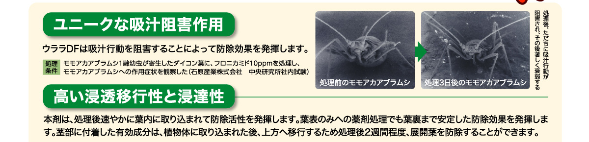 ウララDF は吸汁行動を阻害することによって防除効果を発揮します