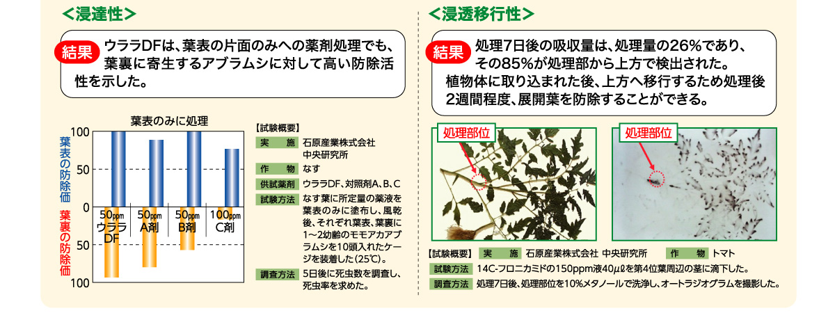 ウララDFは、葉表の片面のみへの薬剤処理でも、葉裏に寄生するアブラムシに対して高い防除活性を示した。