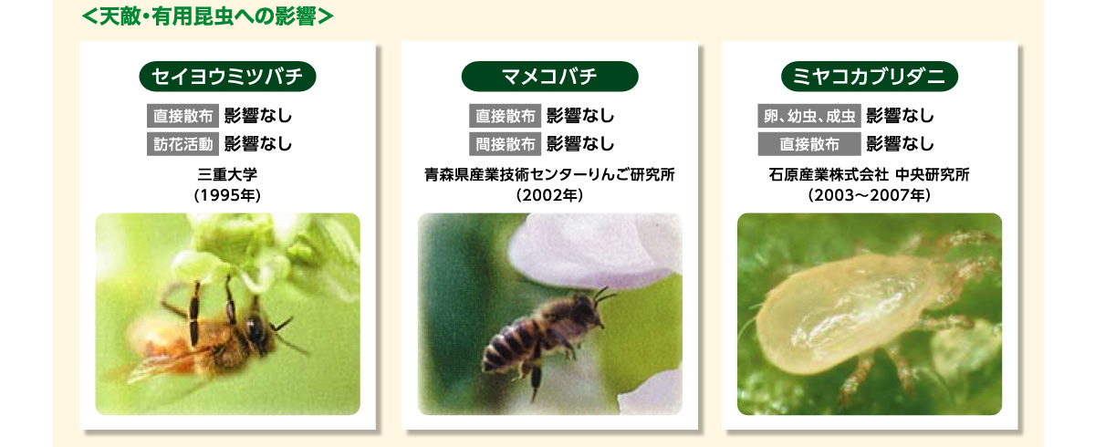 天敵・有用昆虫への影響