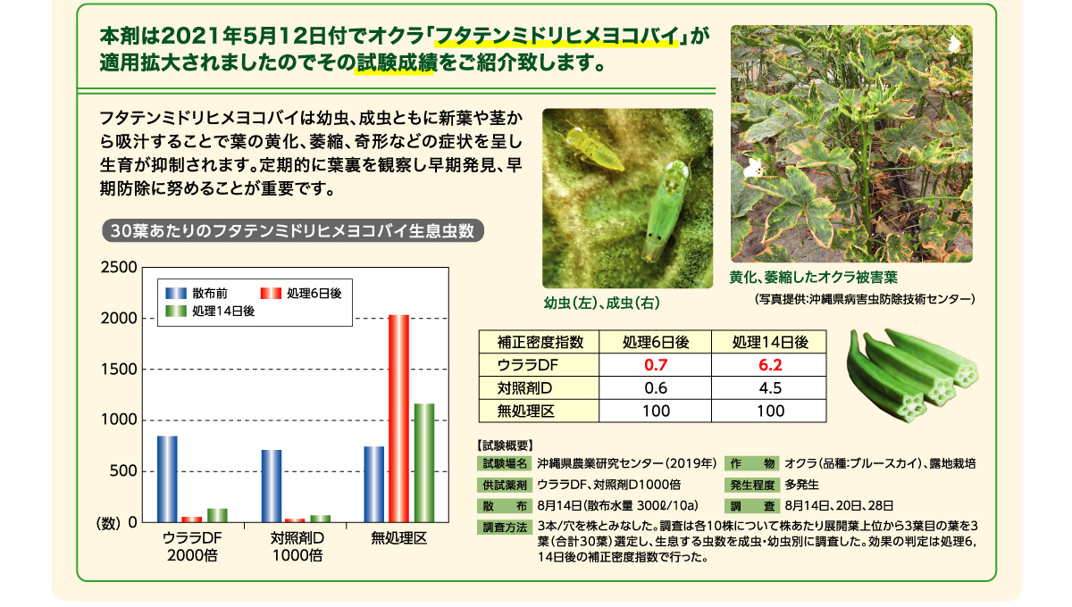 本罪は2021年5月12日付でオクラ「フタテンミドリヒメヨコバイ」が適用拡大されましたので試験成績をご紹介致します