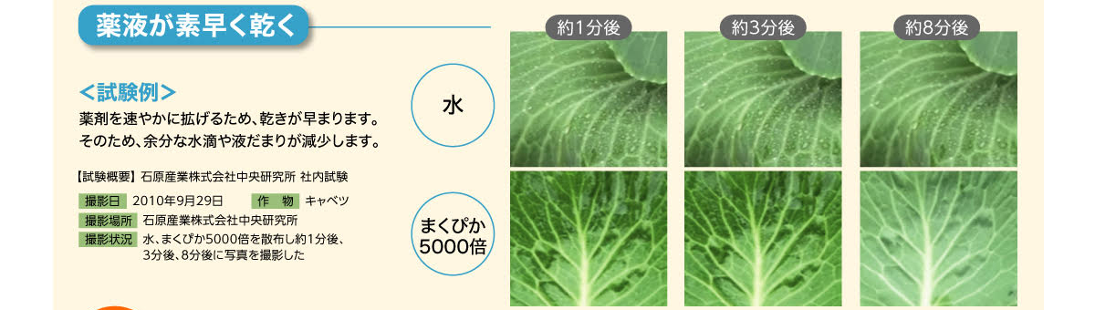 薬剤を速やかに拡げるため、渇きが早まります。そのため、余分な水滴や液だまりが減少します。