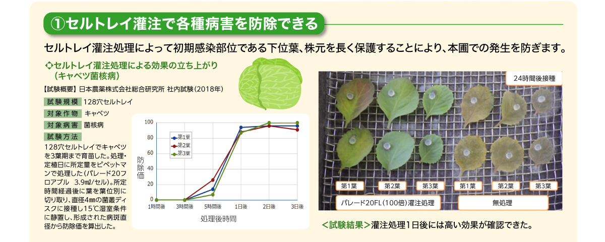 セルトレイ灌注で各種病害を防除できる