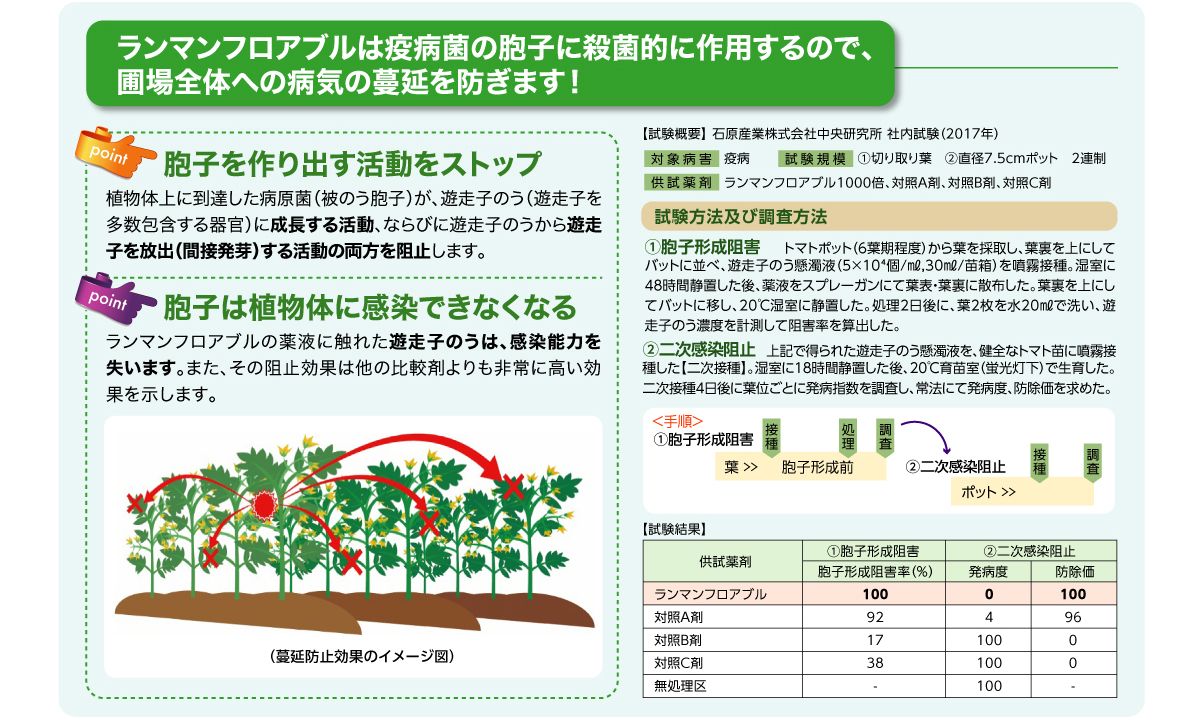 ランマンフロアブルは疫病菌の胞子に殺菌的に作用するので、圃場全体への病気の蔓延を防ぎます！