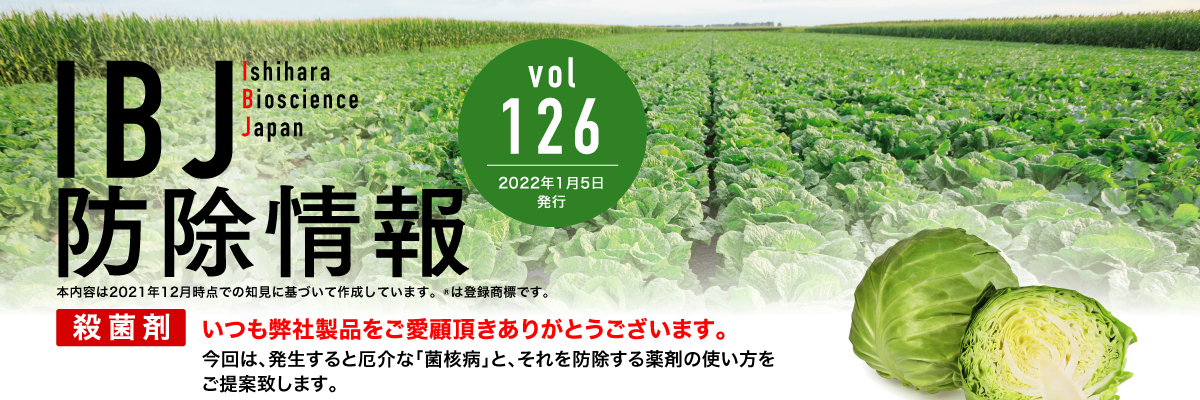 IBJ防除情報vol.126 今回は発生すると厄介な「菌核病」と、それを防除する薬剤の使い方をご提案いたします。