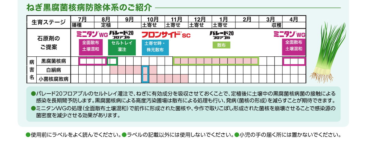 ねぎ黒腐菌核病防除体系のご紹介