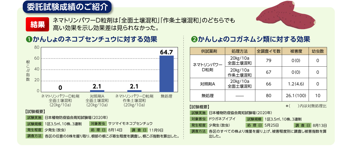 ネマトリンパワーD粒剤は「全面土壌混和」「作条土壌混和」のどちらでも高い効果を示し効果差は見られなかった。