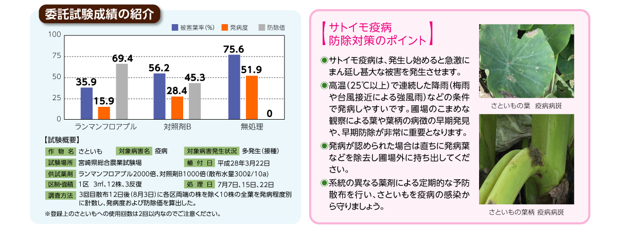 サトイモ疫病防除対策のポイント