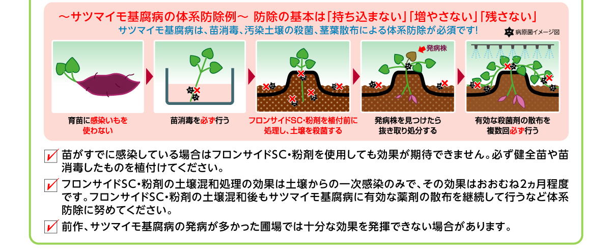 〜サツマイモ基腐病の体系防除令〜防除の基本は「持ち込まない」「増やさない」「残さない」