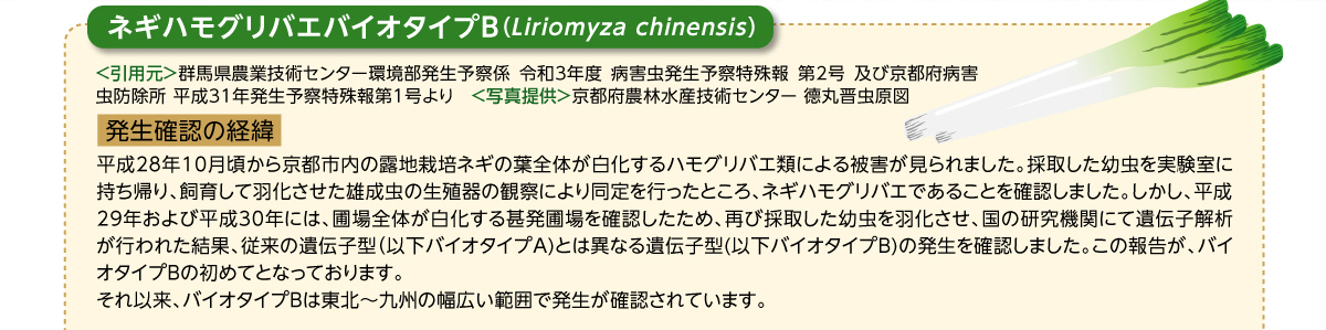 ネギハモグリバエバイオタイプB：発生確認の経緯