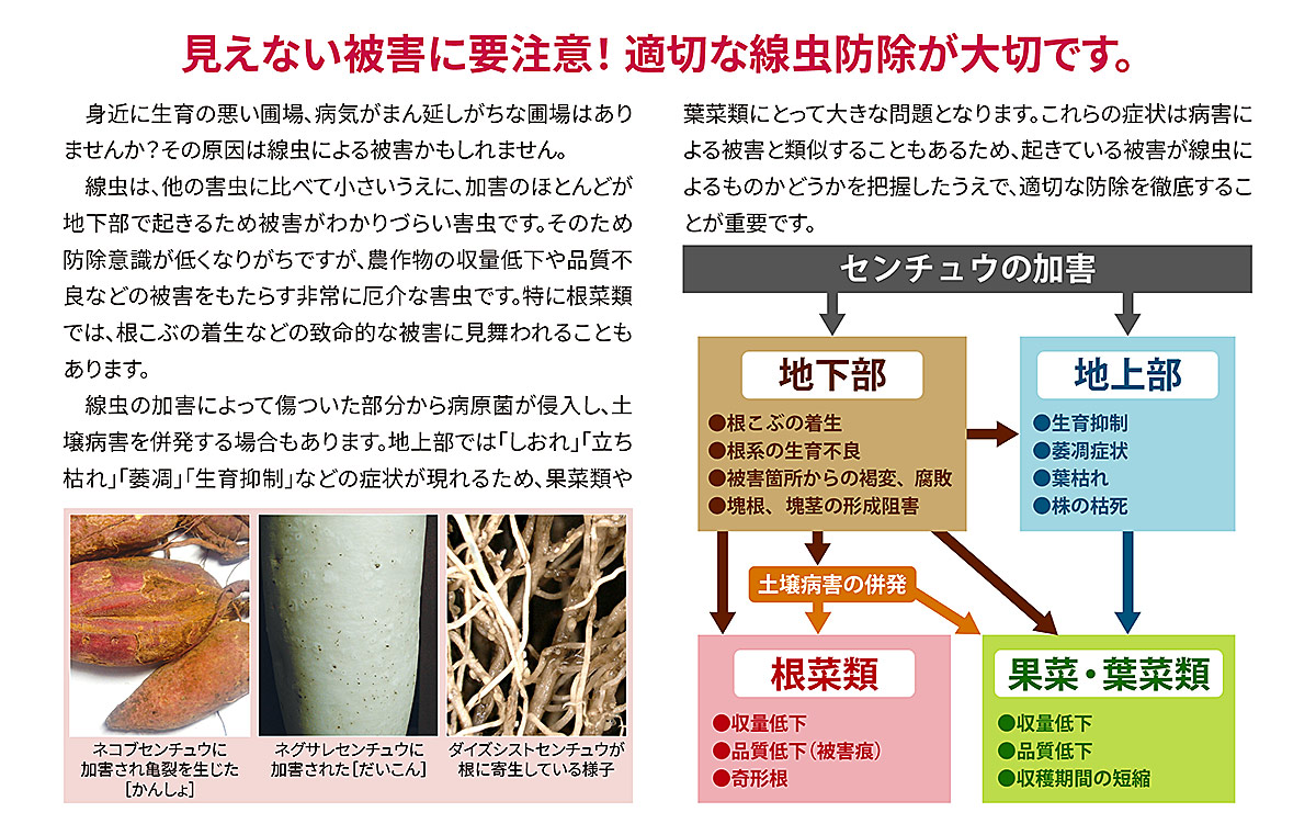 IBJ防除情報vol138