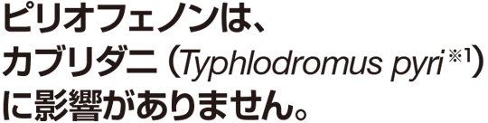 ピリオフェノンは、 カブリダニ（Typhlodromus pyri※1） に影響がありません。