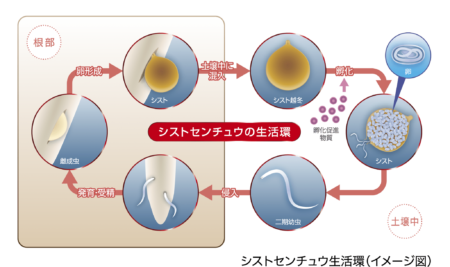 250327_1-450x267.png