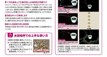 2013 化学・バイオの知財判例年鑑（単行本）