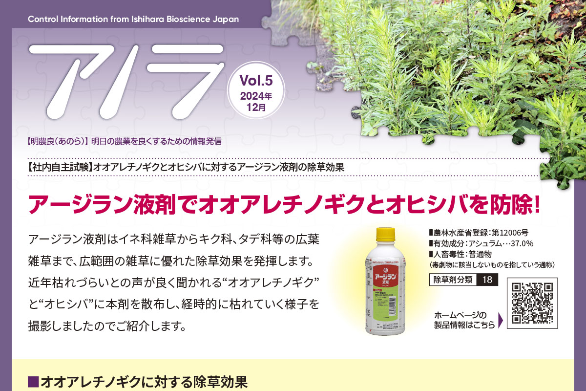 【社内自主試験】オオアレチノギクとオヒシバに対するアージラン液剤の除草効果