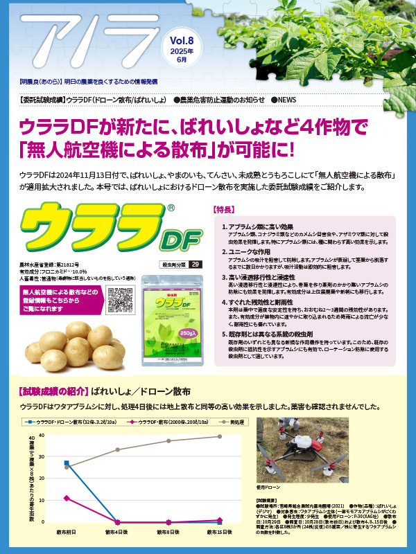アノラ Vol.8
