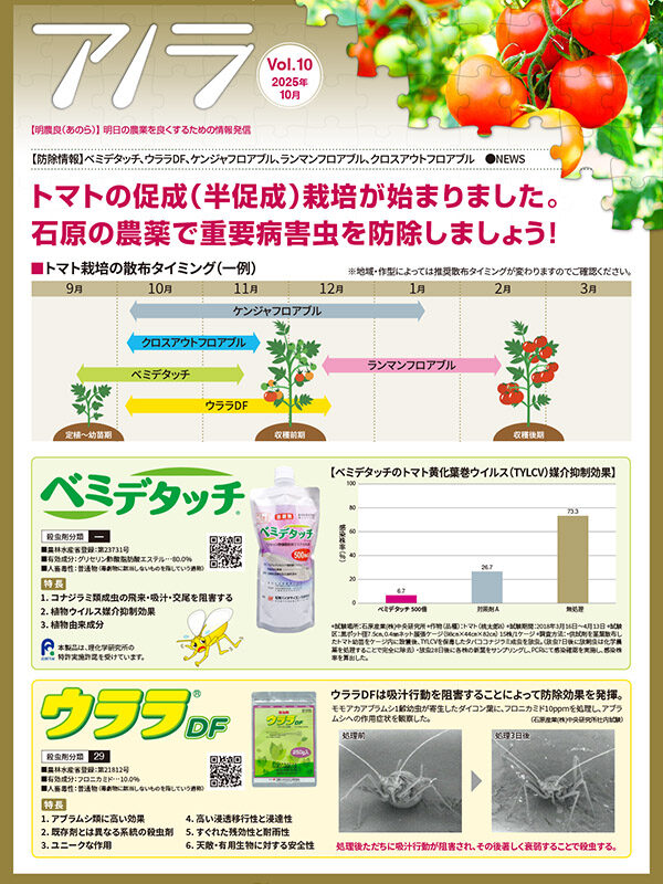 アノラ Vol.10