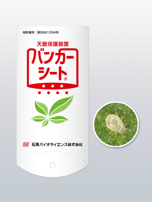 スワルバンカーロング（システムスワルくんロング）