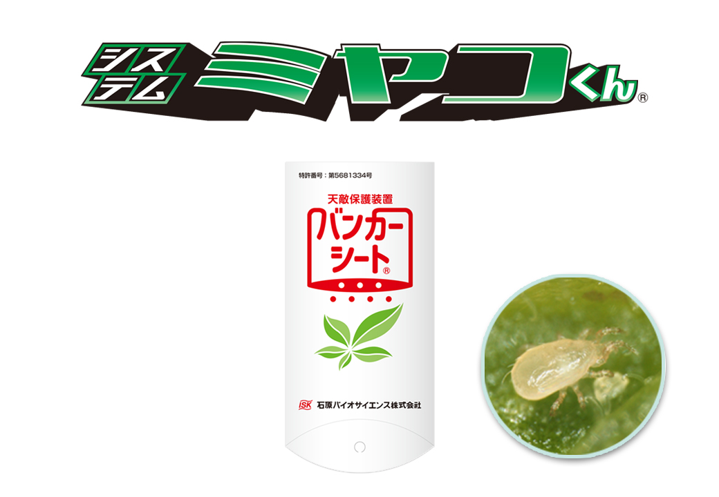 ミヤコバンカー(システムミヤコくん)