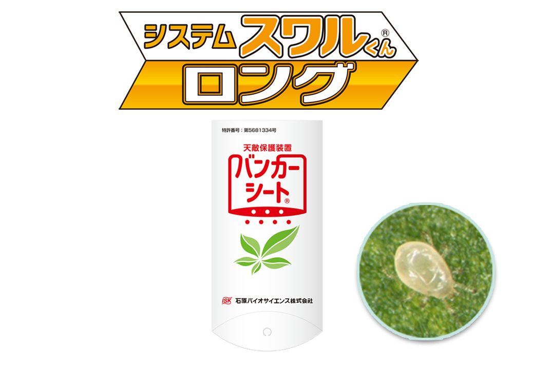 スワルバンカーロング（システムスワルくんロング）