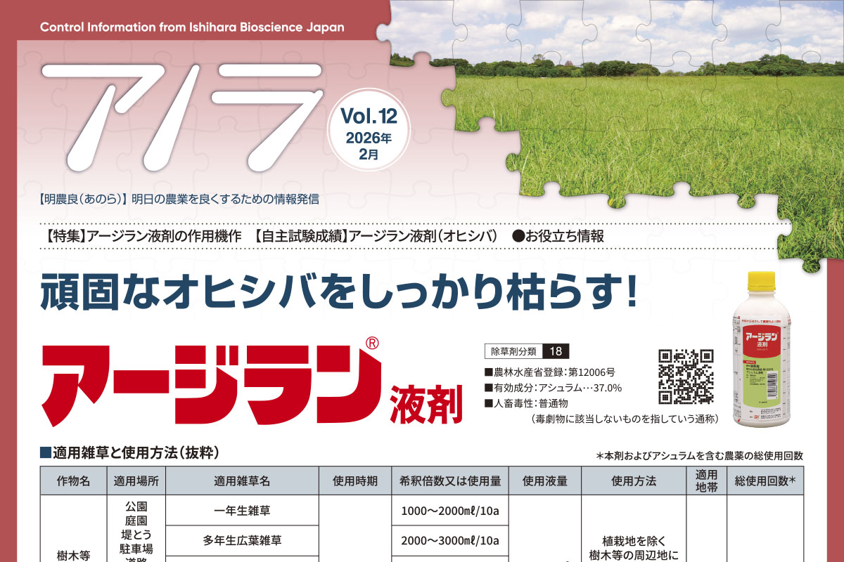 【特集】アージラン液剤の作用機作　【自主試験成績】アージラン液剤（オヒシバ）　【上手な使い方】アージラン液剤　●お役立ち情報