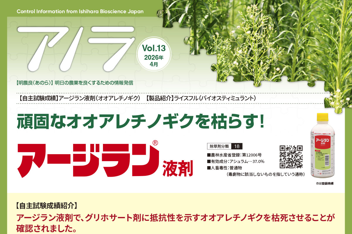 【自主試験成績】アージラン液剤（オオアレチノギク）　【製品紹介】ライスフル（バイオスティミュラント）