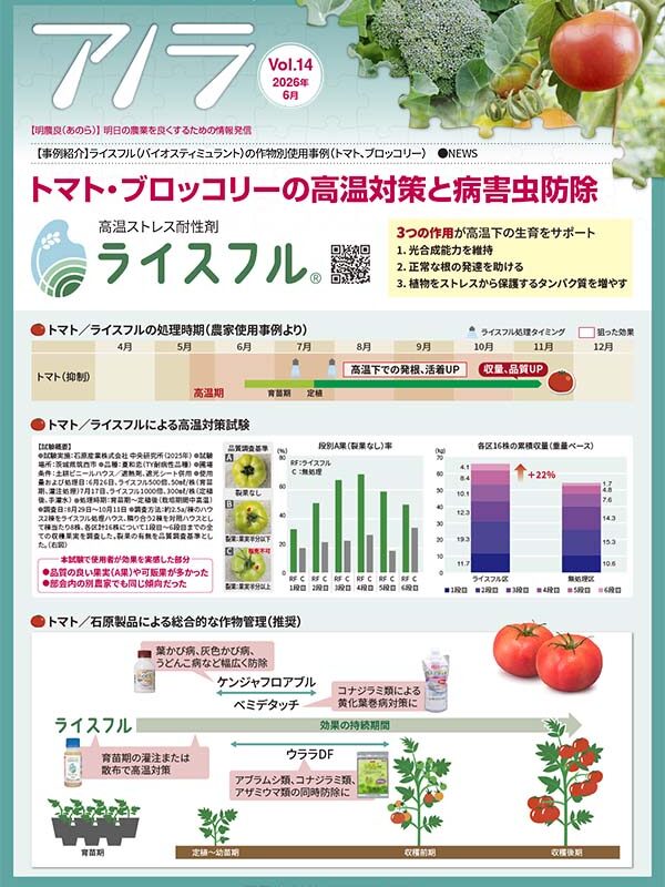 アノラ Vol.14