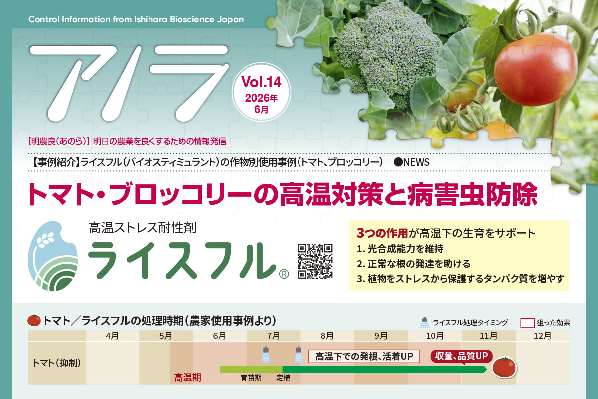 【事例紹介】ライスフル（バイオスティミュラント）の作物別使用事例（トマト、ブロッコリー）