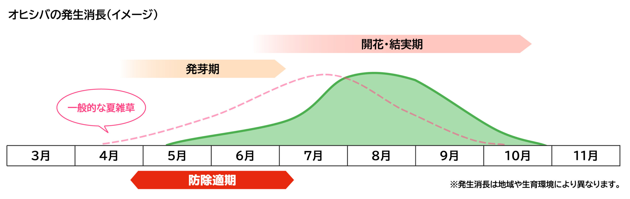オヒシバの発生消長（イメージ）