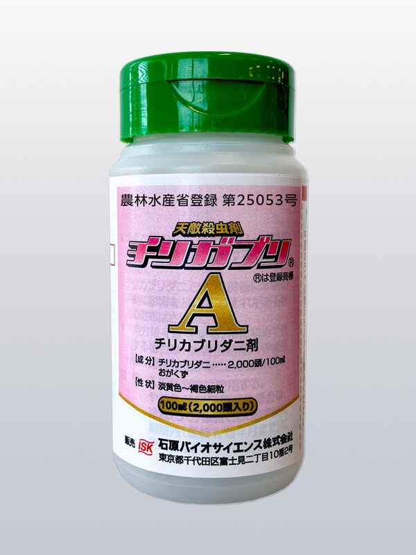 チリガブリA