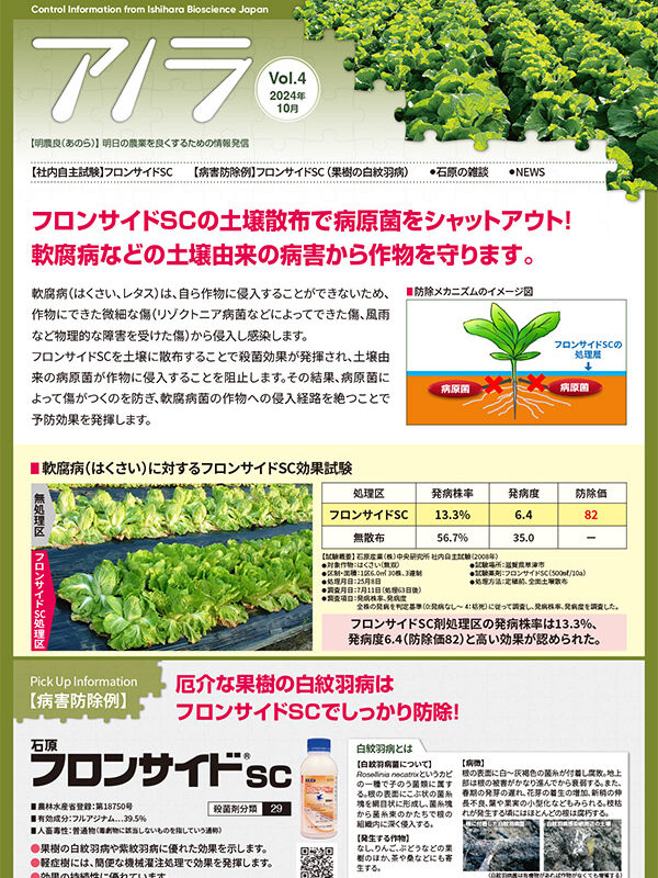 アノラ Vol.4