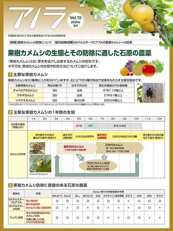 アノラ Vol.15