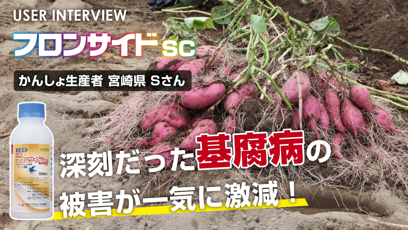 youtube link