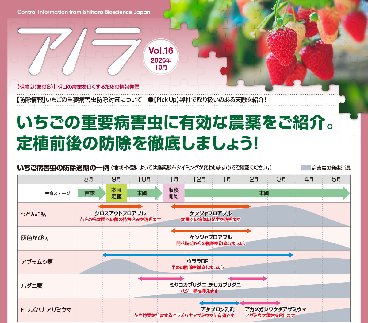 いちごのうどんこ病,灰色かび病,アブラムシ類,ハダニ類の防除