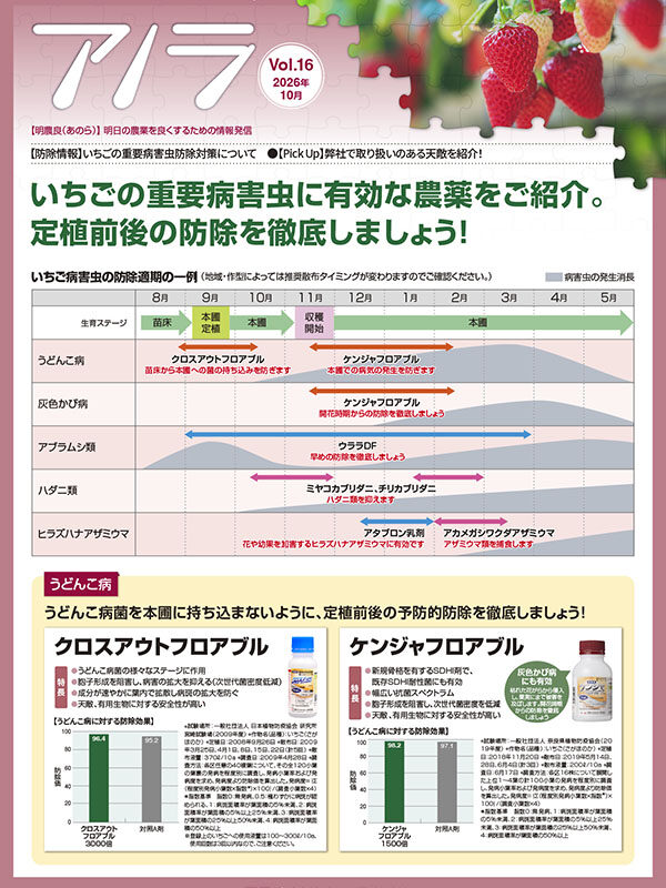 アノラ Vol.16